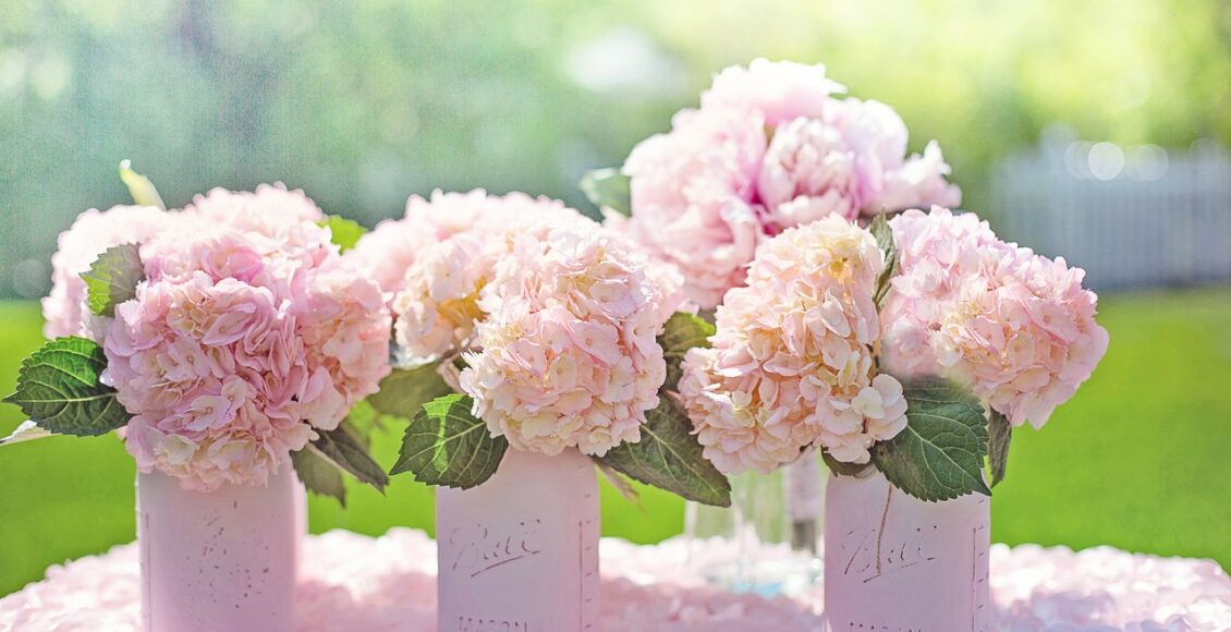 découvrez une magnifique sélection d'hortensias colorés et éclatants pour égayer votre jardin ou votre intérieur. trouvez des variétés variées et des conseils de jardinage pour une floraison éblouissante.