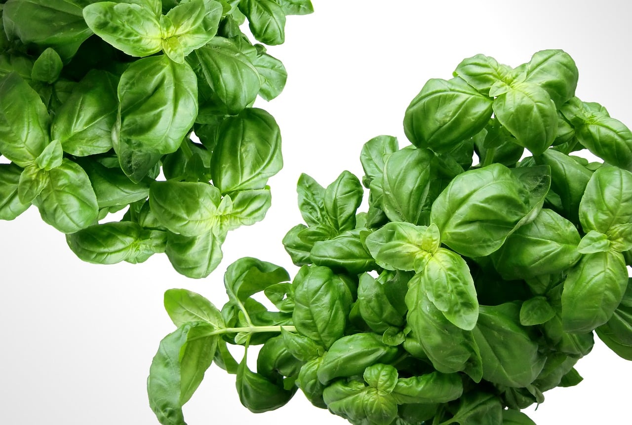 découvrez des combinaisons d'herbes uniques pour sublimer vos plats avec nos conseils et astuces de cuisine.