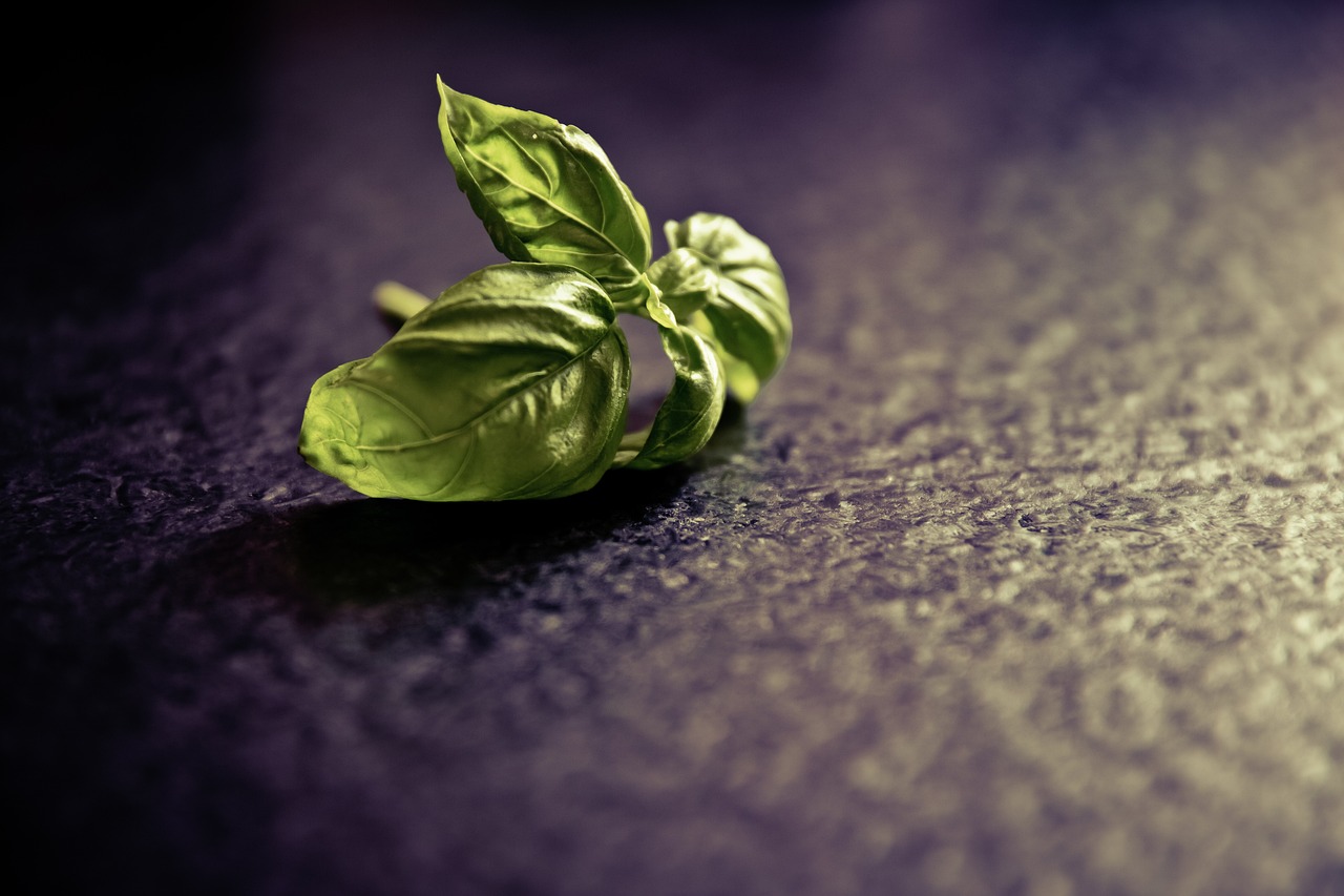 découvrez des combinaisons d'herbes uniques pour sublimer vos plats avec nos recettes et conseils de cuisine.