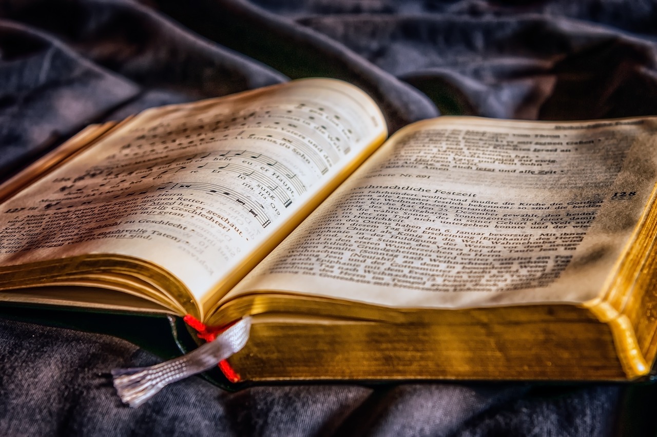 découvrez une sélection de livres sur la permaculture pour apprendre à créer un jardin durable, respectueux de l'environnement et productif. trouvez des conseils pratiques et des techniques innovantes pour vous lancer dans la permaculture.