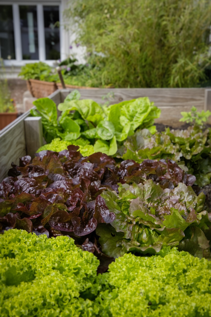 découvrez notre sélection de bacs de jardin surélevés pour cultiver vos plantes et légumes en toute facilité. optez pour des lits de jardin pratiques et esthétiques pour embellir votre espace extérieur.