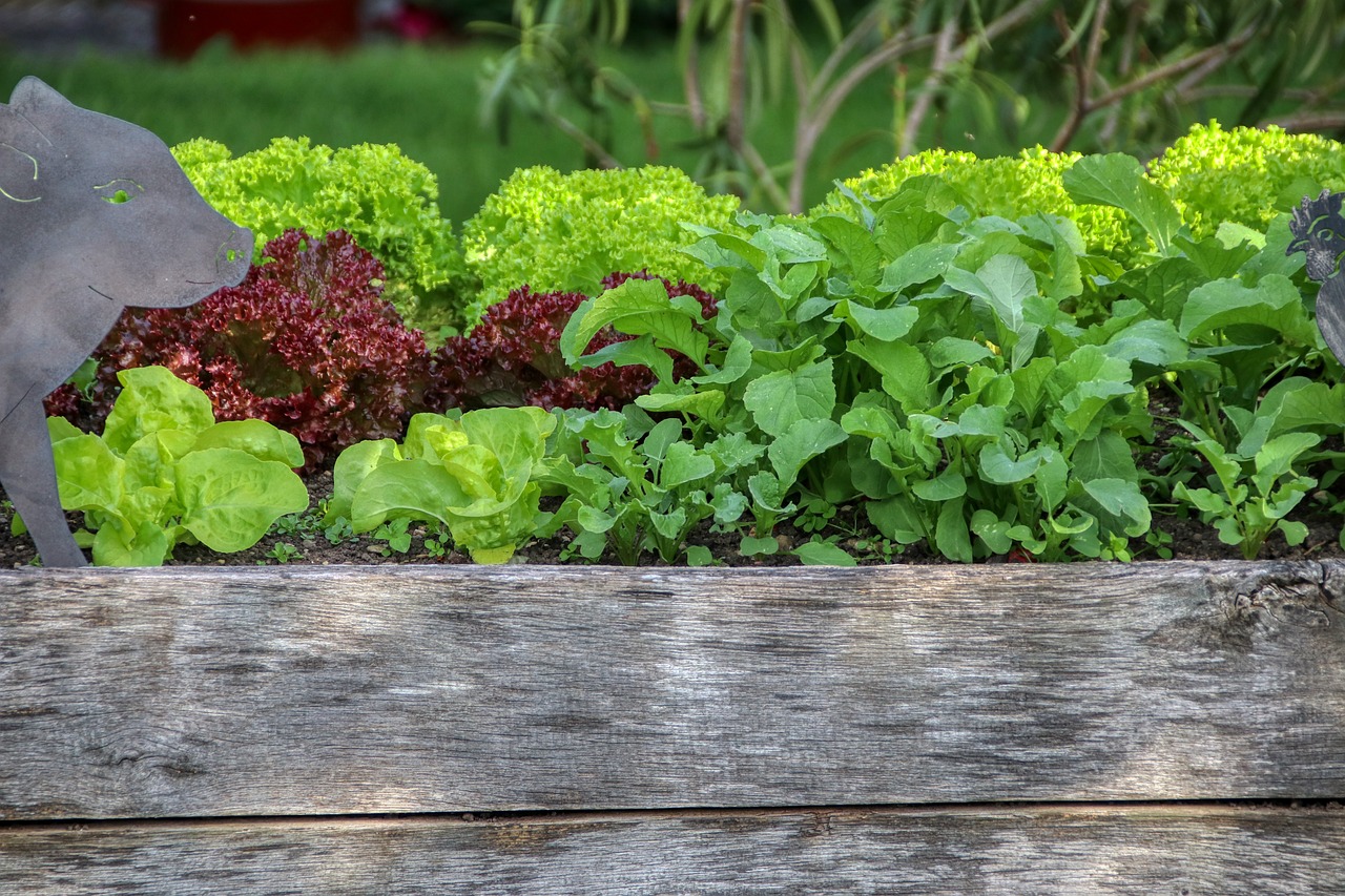 découvrez nos jardinières surélevées pour un aménagement extérieur pratique et esthétique. optez pour nos lits de jardin surélevés pour cultiver vos plantes en toute simplicité.