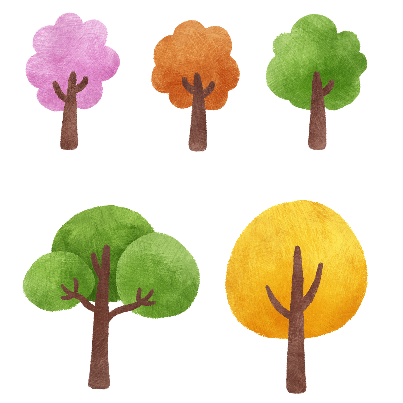 découvrez tout ce que vous devez savoir sur les arbres : types, caractéristiques, préoccupations environnementales et bien plus encore.