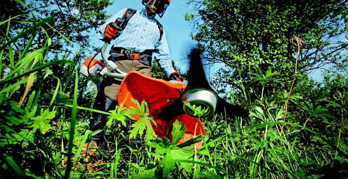 découvrez l'art du jardinage avec nos conseils pratiques, astuces de plantation et idées créatives pour transformer votre espace extérieur en un véritable havre de paix. que vous soyez débutant ou jardinier expérimenté, trouvez l'inspiration pour faire fleurir votre passion!