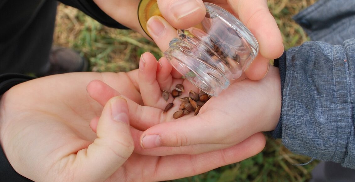 découvrez la permaculture, une méthode de culture durable et respectueuse de l'environnement, qui favorise l'harmonie entre l'homme et la nature. apprenez à concevoir des jardins productifs et écologiques, en utilisant les principes de l'agroécologie pour nourrir la terre et les générations futures.