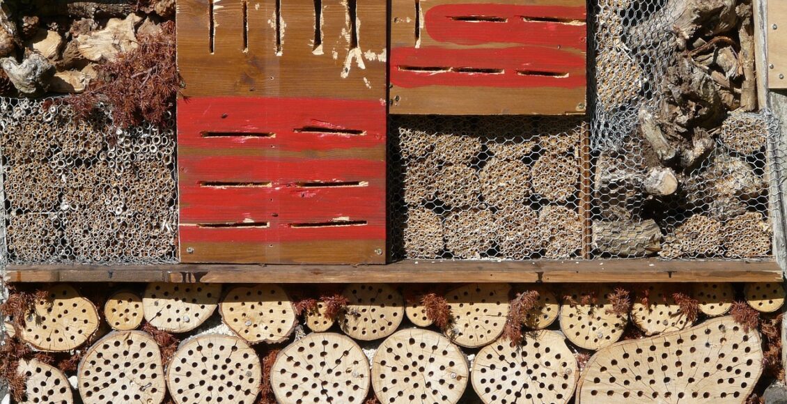 découvrez la permaculture, une méthode durable et écologique pour cultiver votre jardin en harmonie avec la nature. apprenez les principes de cette approche innovante qui favorise la biodiversité, le respect des ressources et une production alimentaire saine. transformez votre espace en un écosystème florissant et responsable.