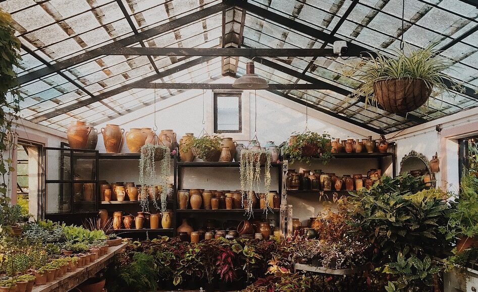 découvrez notre sélection de serres et de solutions pour jardinage dans notre gamme de produits de qualité à prix abordable.
