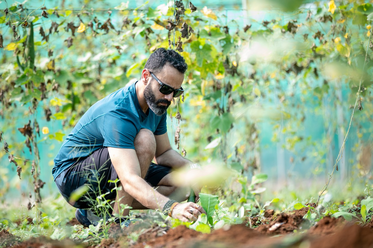 trouvez un jardinier qualifié pour l'entretien de votre espace vert avec gardener. services de tonte, taille, désherbage et plus encore, à domicile ou en entreprise.