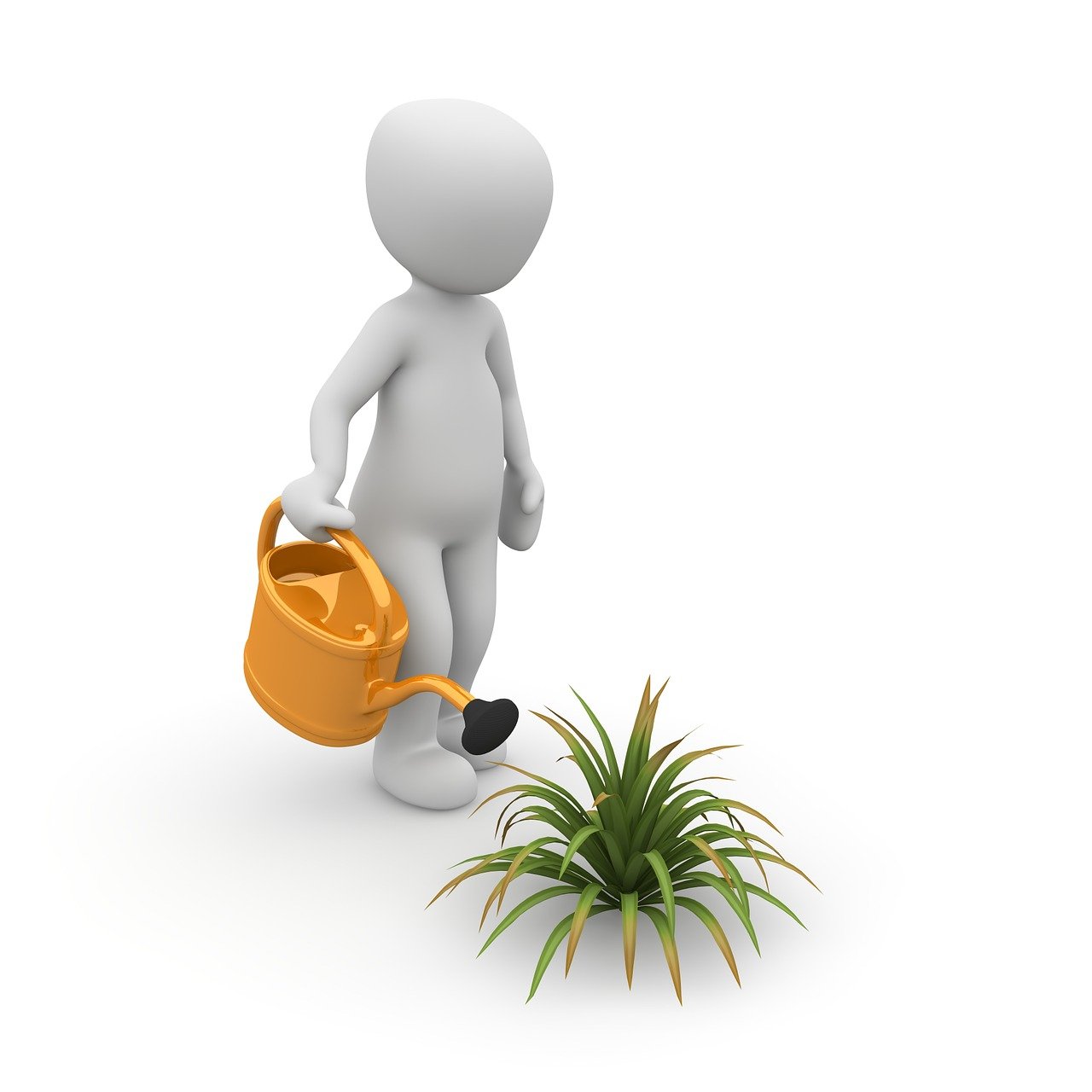 découvrez une gamme complète d'outils de jardinage avec gardener, votre partenaire pour un jardinage facile et efficace.