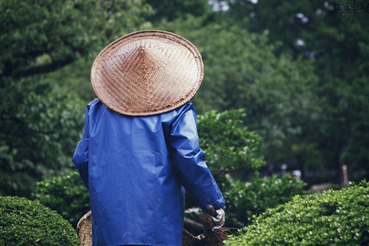 profitez de nos services de jardinage professionnels pour transformer votre espace extérieur. que ce soit pour l'entretien de votre jardin, la création de paysages ou des conseils en aménagement, notre équipe d'experts est là pour vous aider à réaliser vos rêves de jardin. contactez-nous dès aujourd'hui!