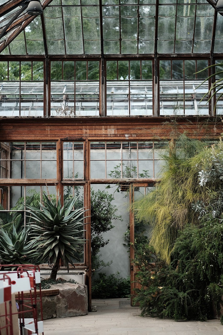 découvrez les serres écologiques et durables pour cultiver des plantes toute l'année avec greenhouse.