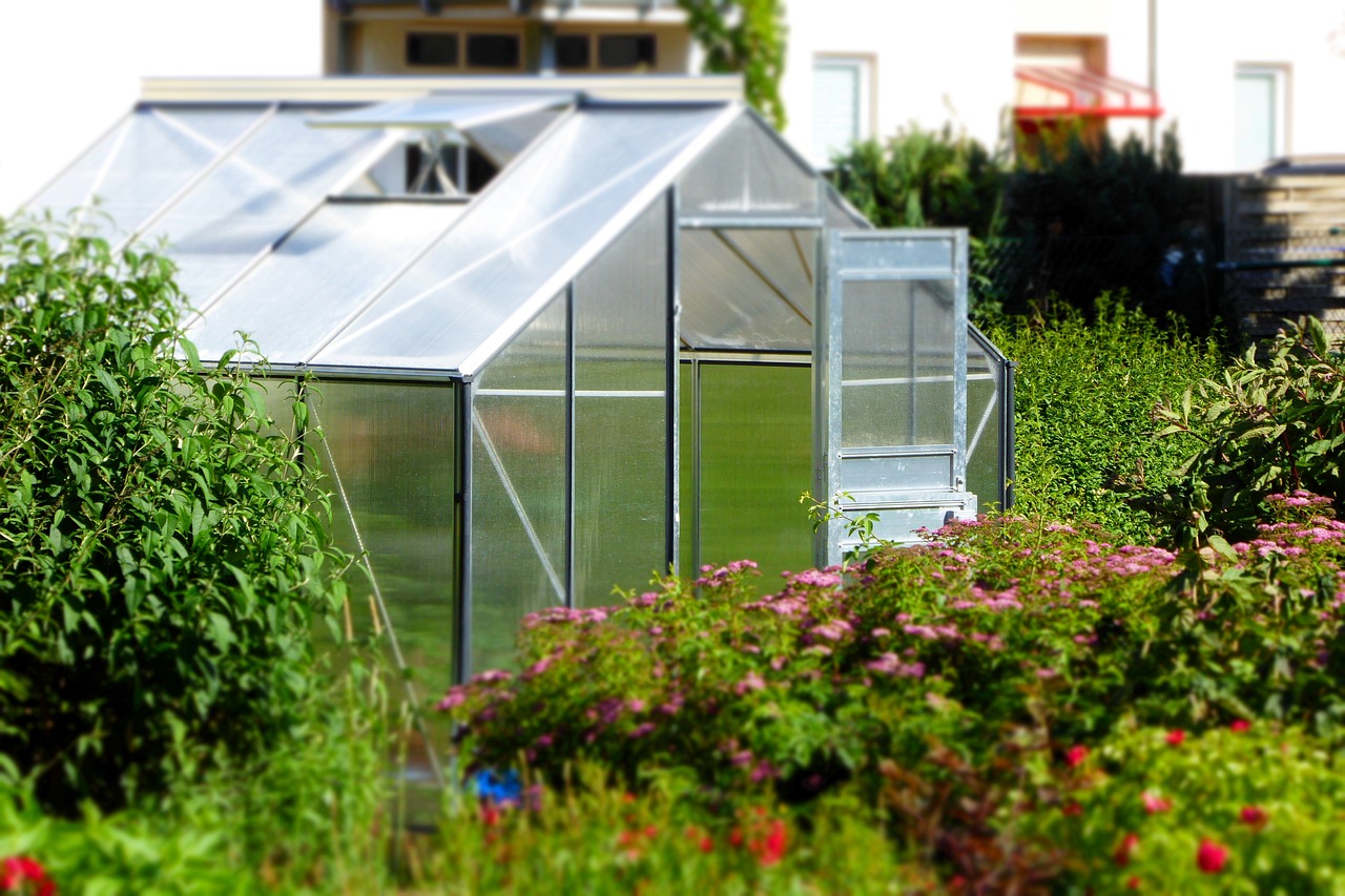 découvrez tous les avantages des serres avec notre gamme complète de produits de qualité pour créer votre propre jardin d'intérieur grâce à nos serres.