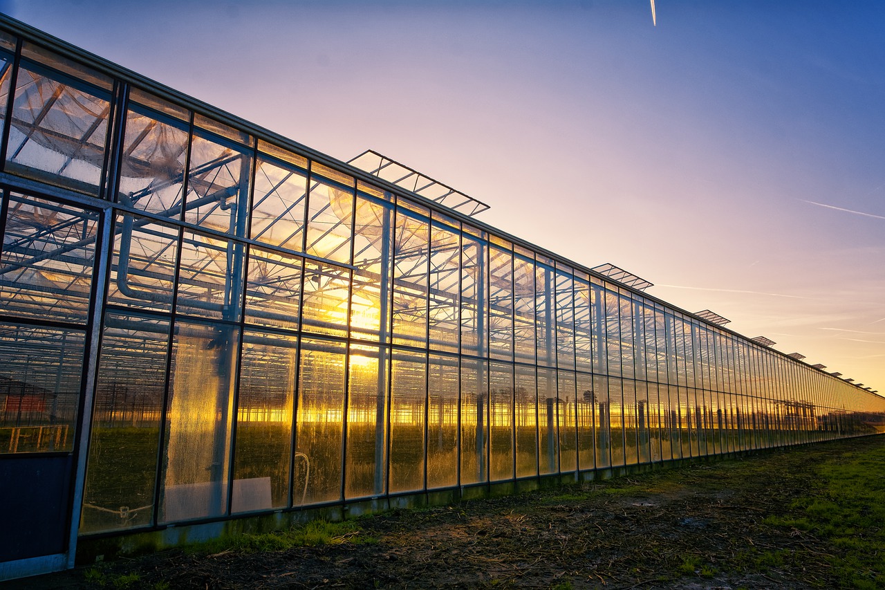 découvrez tous nos produits pour votre serre et jardin d'intérieur sur greenhouse. profitez de solutions durables et écologiques pour votre espace vert.