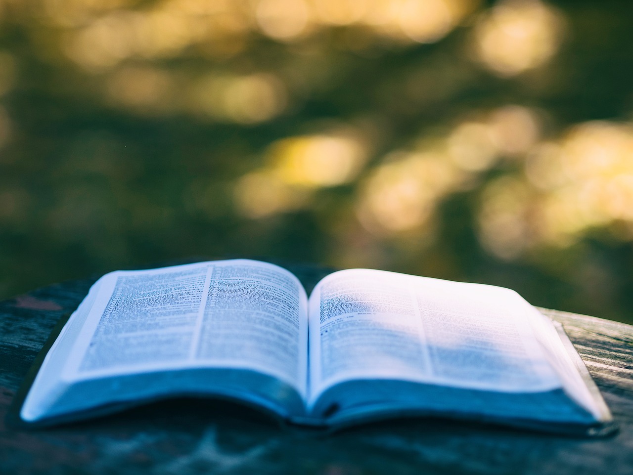découvrez notre sélection de livres sur la permaculture pour apprendre à créer un jardin durable, respectueux de l'environnement et épanouissant. trouvez des conseils pratiques, des techniques de culture et des exemples inspirants pour adopter un mode de vie plus responsable.