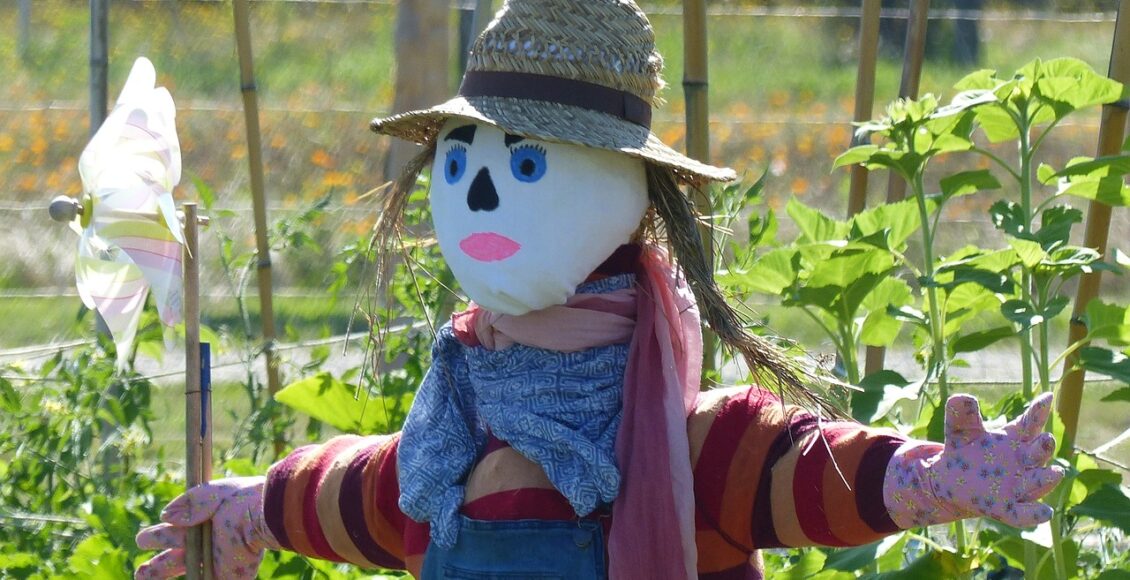 découvrez les principes de la permaculture, une méthode de culture durable qui respecte l'environnement et favorise la biodiversité. apprenez à créer un écosystème productif, tout en minimisant l'impact écologique et en maximisant l'autonomie alimentaire.