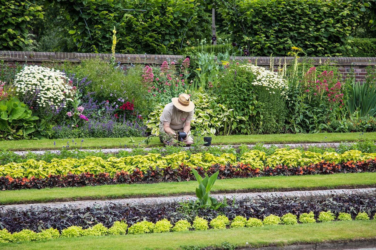 découvrez le monde passionnant du jardinage avec des conseils pratiques, des astuces de professionnels et des idées inspirantes pour créer et entretenir le jardin de vos rêves.
