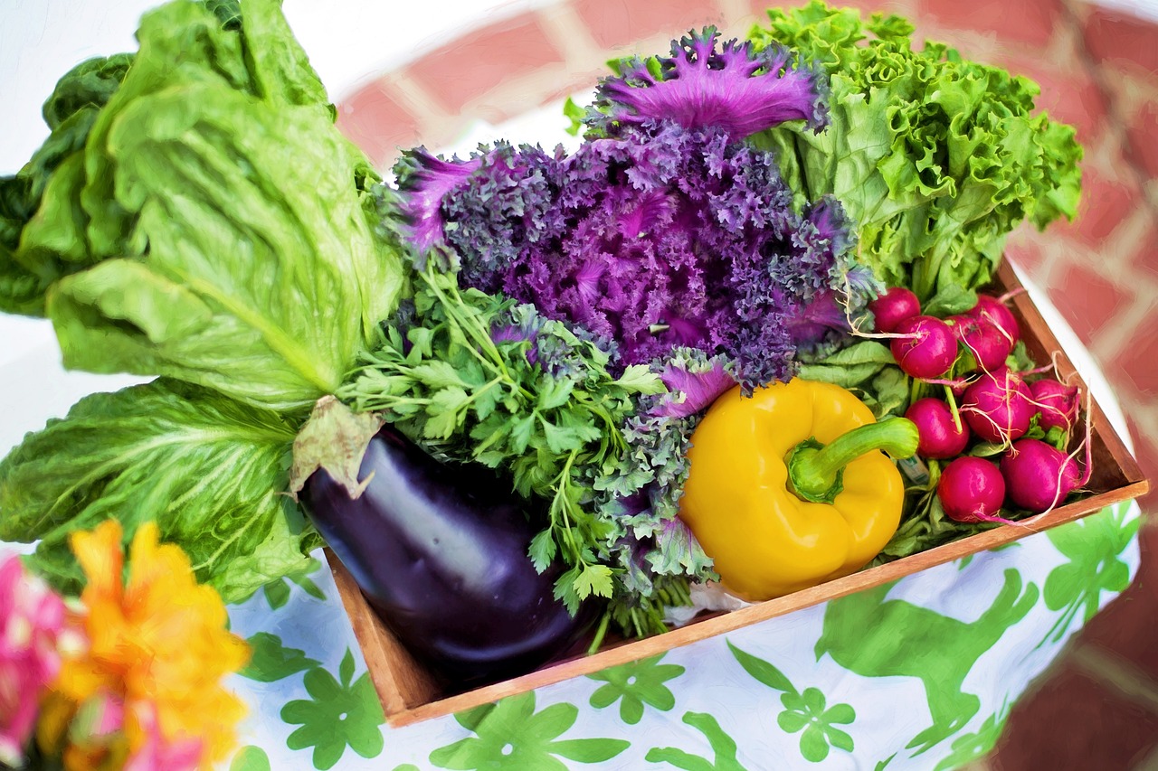découvrez l'art du jardinage avec nos conseils pratiques, astuces et techniques pour cultiver des plantes florissantes, créer des espaces extérieurs harmonieux et profiter des bienfaits d'un jardin épanouissant.