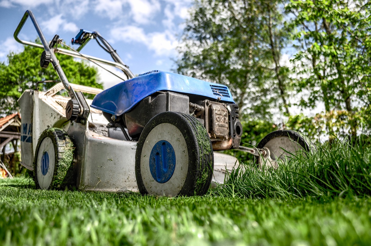 découvrez l'univers du jardinage avec nos conseils pratiques, astuces de plantation et techniques de culture. que vous soyez novice ou jardinier expérimenté, trouvez l'inspiration pour embellir votre jardin et cultiver vos propres légumes et fleurs.