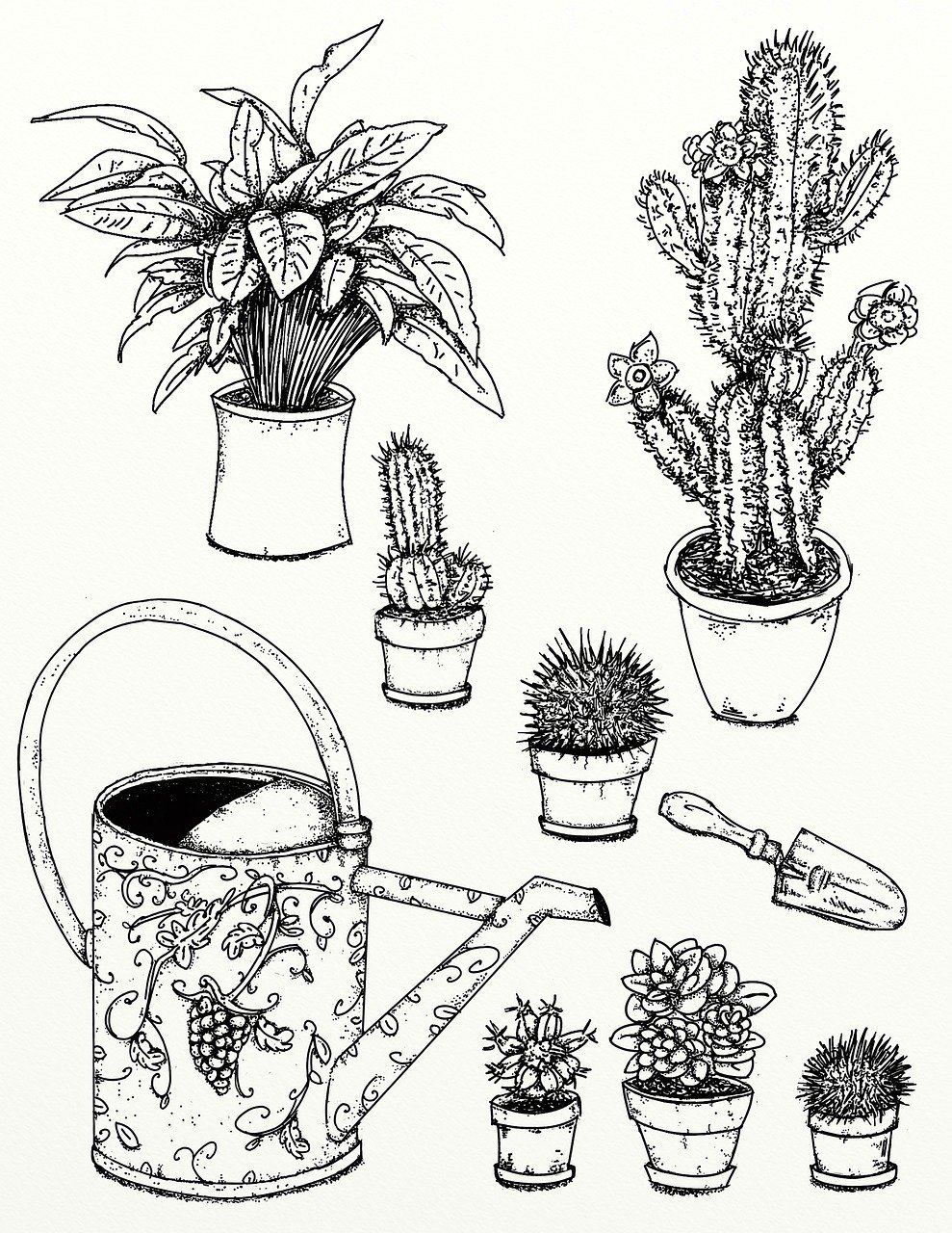 découvrez les joies du jardinage avec nos conseils pratiques, astuces et techniques pour cultiver vos plantes, embellir votre extérieur et créer un espace verdoyant et apaisant.