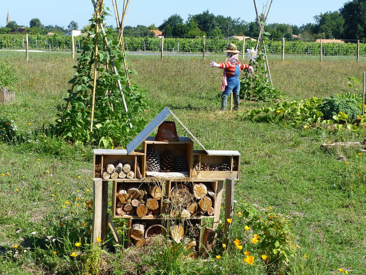 découvrez l'art de la permaculture, une approche durable et respectueuse de la nature pour cultiver votre jardin. apprenez des techniques innovantes pour créer un écosystème productif et harmonieux, tout en préservant l'environnement. idéal pour les passionnés de jardinage et de développement durable.