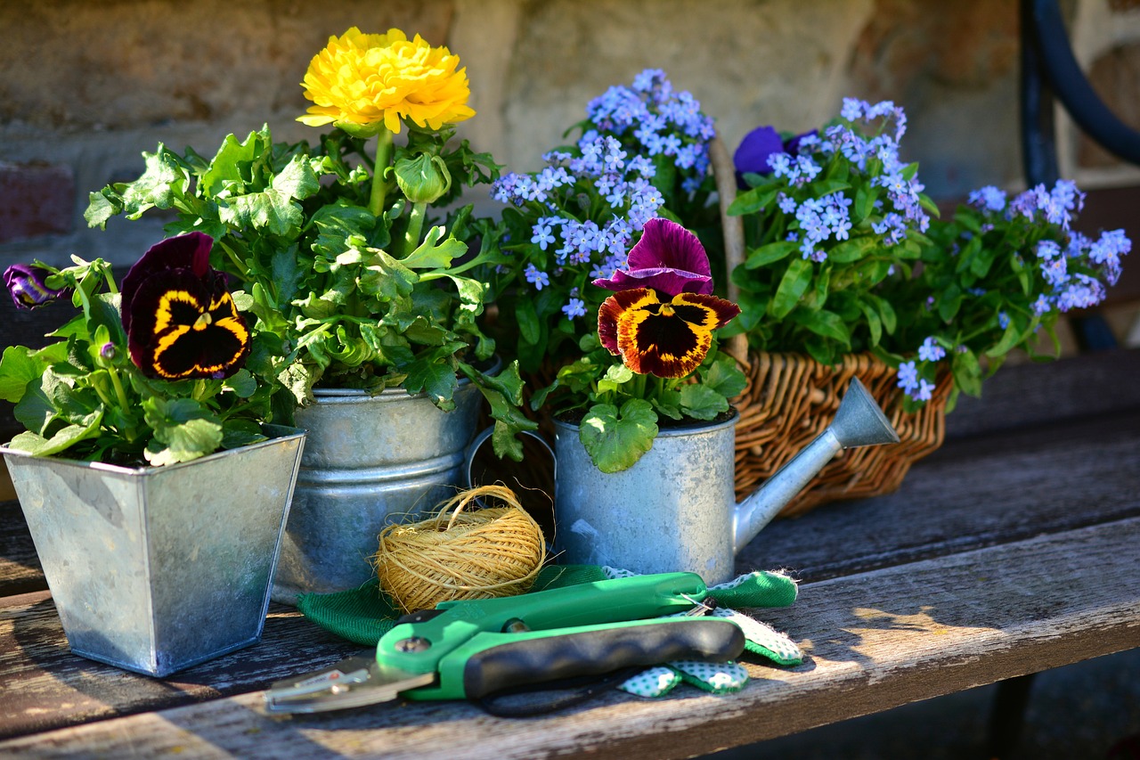 découvrez le monde fascinant du jardinage avec nos conseils d'experts pour cultiver vos plantes, entretenir votre jardin et créer un espace extérieur enchanteur. que vous soyez débutant ou jardinier aguerri, trouvez l'inspiration et les astuces adaptées à vos besoins.