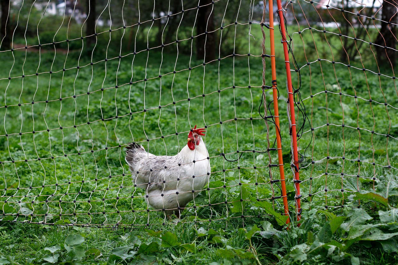 découvrez la permaculture, une approche durable et écologique pour cultiver votre jardin. apprenez à créer des écosystèmes résilients qui favorisent la biodiversité, économisent l'eau et réduisent les déchets. adoptez une nouvelle façon de jardiner en harmonie avec la nature.