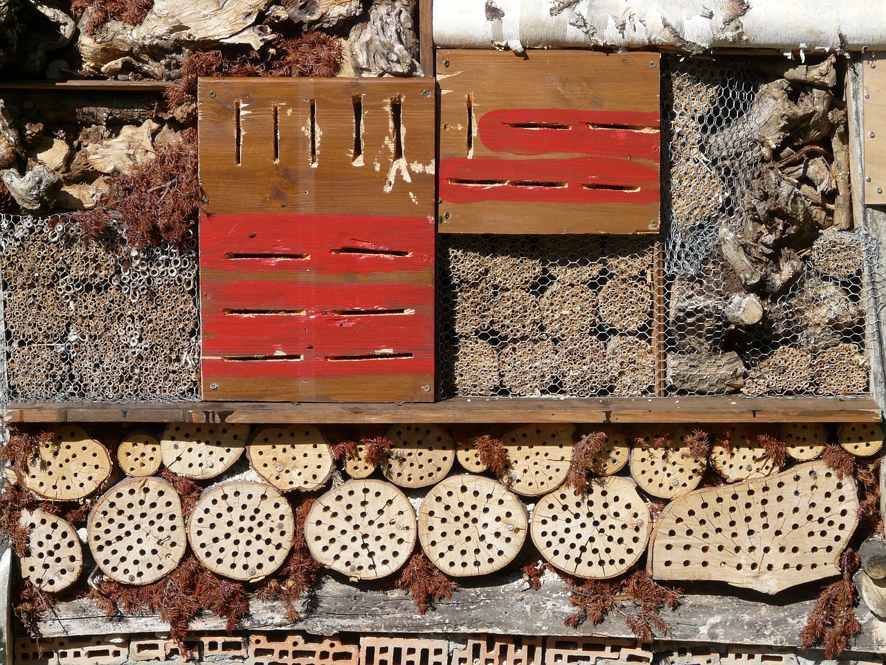 découvrez la permaculture, une méthode de culture durable qui s'inspire des écosystèmes naturels. apprenez à créer votre jardin potager en harmonie avec la nature tout en préservant la biodiversité et en optimisant l'utilisation des ressources.