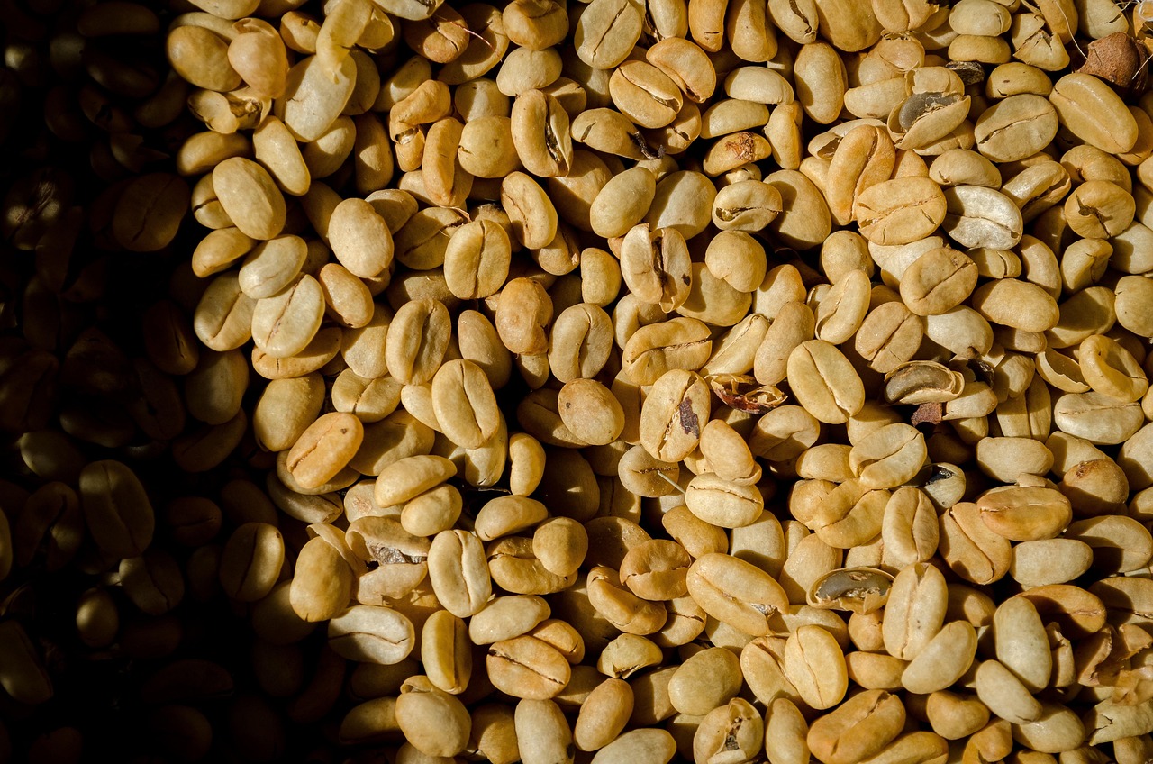 découvrez les différentes variétés de haricots, leurs bienfaits nutritionnels, des recettes délicieuses et des astuces pour les cuisiner. explorez le monde des beans et régalez-vous de plats sains et savoureux.