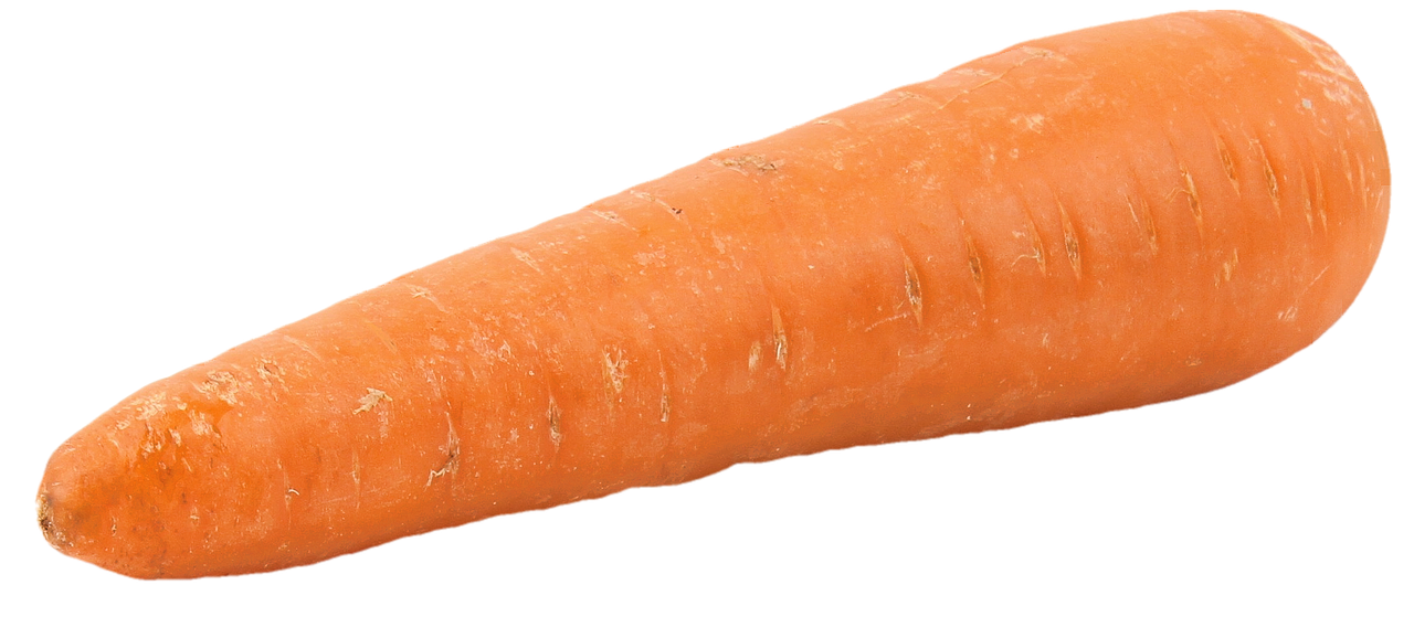 découvrez les bienfaits des carottes, ce légume croquant et coloré, riche en vitamines et minéraux. apprenez à les cuisiner de manière délicieuse et saine pour améliorer votre alimentation au quotidien.