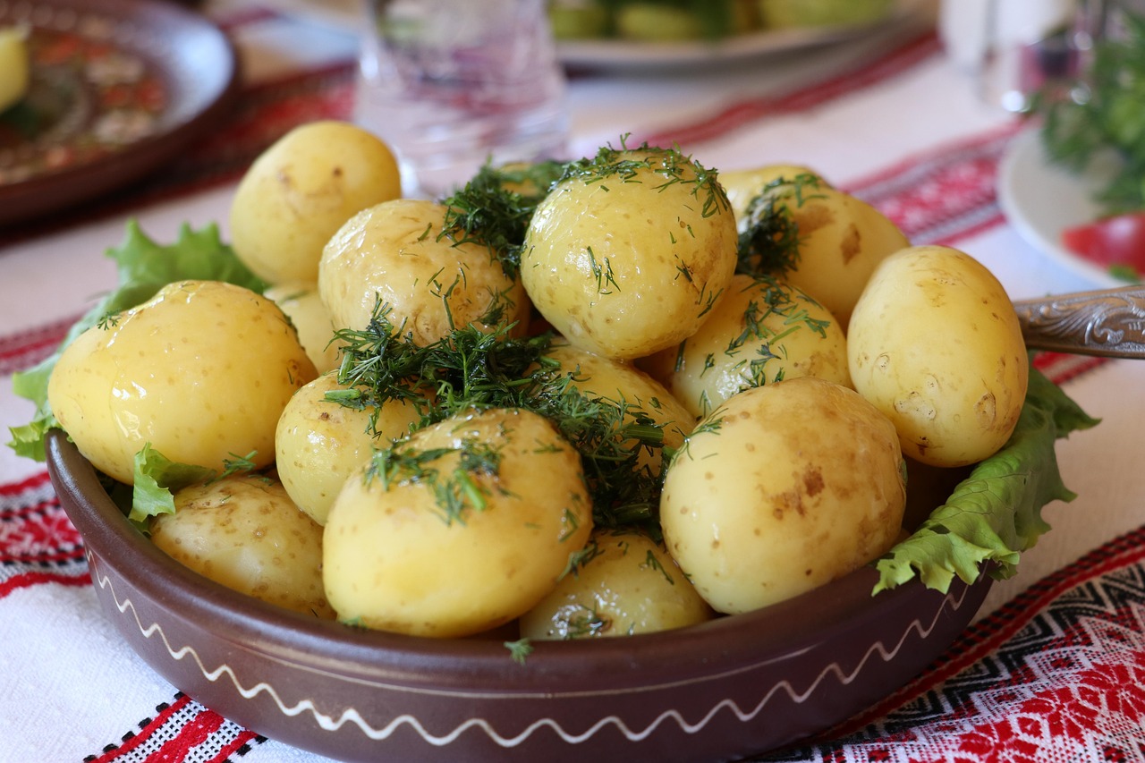 découvrez les secrets de la culture de l'aneth : des conseils pratiques pour réussir la plantation, l'entretien et la récolte de cette herbe aromatique prisée dans vos recettes.