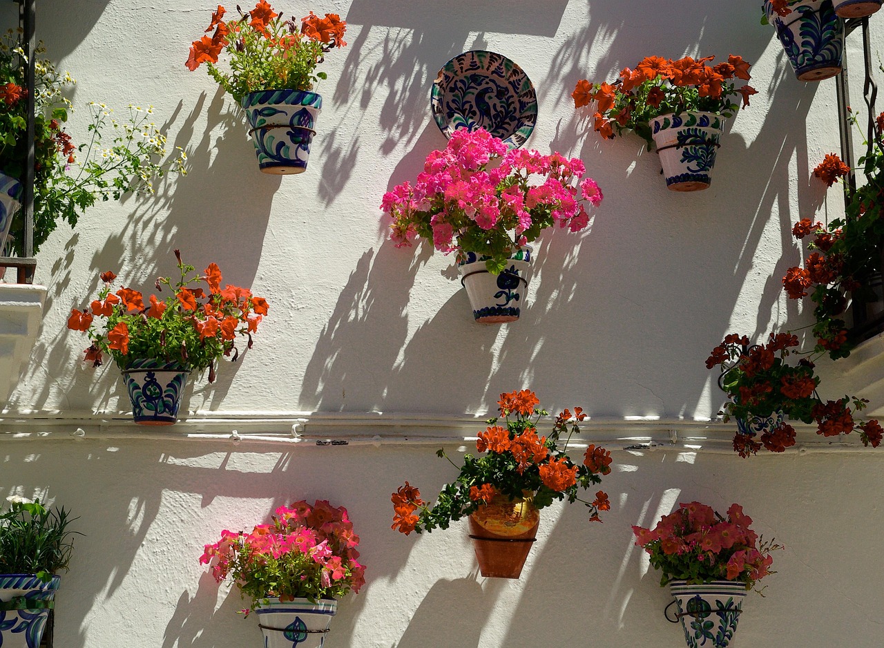 découvrez tout sur les géraniums : leurs variétés, conseils de culture, entretien et astuces pour embellir votre jardin avec ces magnifiques fleurs colorées.
