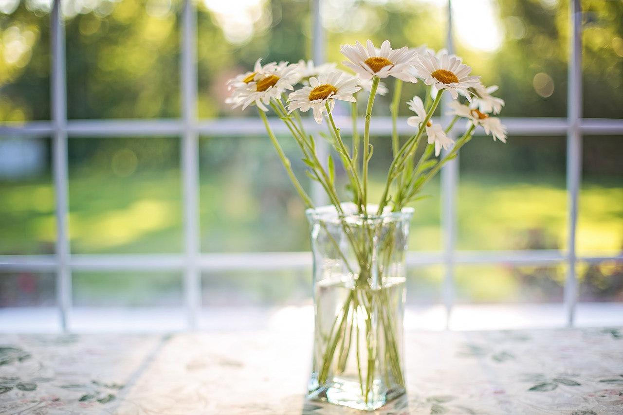 découvrez des astuces et des conseils pour maximiser la floraison de vos plantes et jardins. apprenez les techniques essentielles pour favoriser une croissance épanouie et une explosion de couleurs dans votre espace vert.
