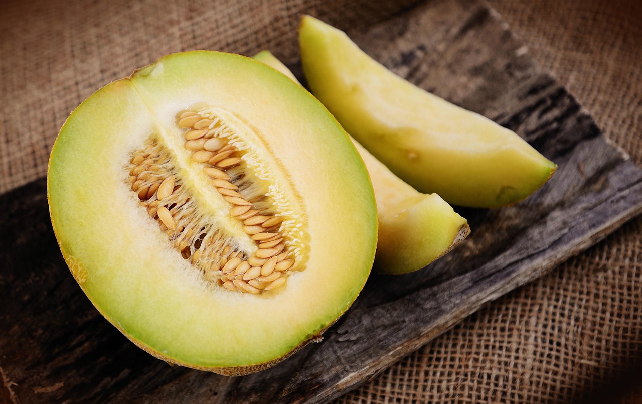 découvrez les secrets de la culture du melon : conseils pratiques, choix des variétés et techniques de jardinage pour réussir la récolte de ce fruit juteux et savoureux.
