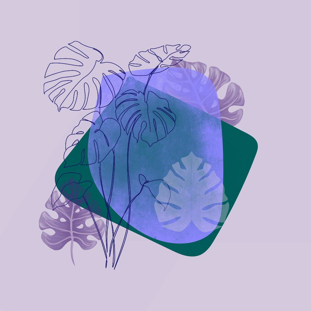 découvrez la monstera, cette plante d'intérieur emblématique, appréciée pour ses feuilles uniques en forme de cœur et ses grandes perforations. apprenez à l'entretenir, à embellir votre espace et à profiter de ses nombreux bienfaits.