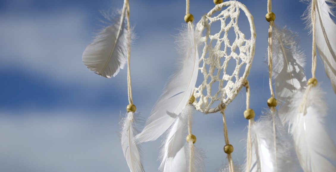 découvrez l'importance et les avantages des plantes natives dans votre jardin. apprenez à les identifier, à les cultiver et à favoriser la biodiversité tout en créant un écosystème durable.