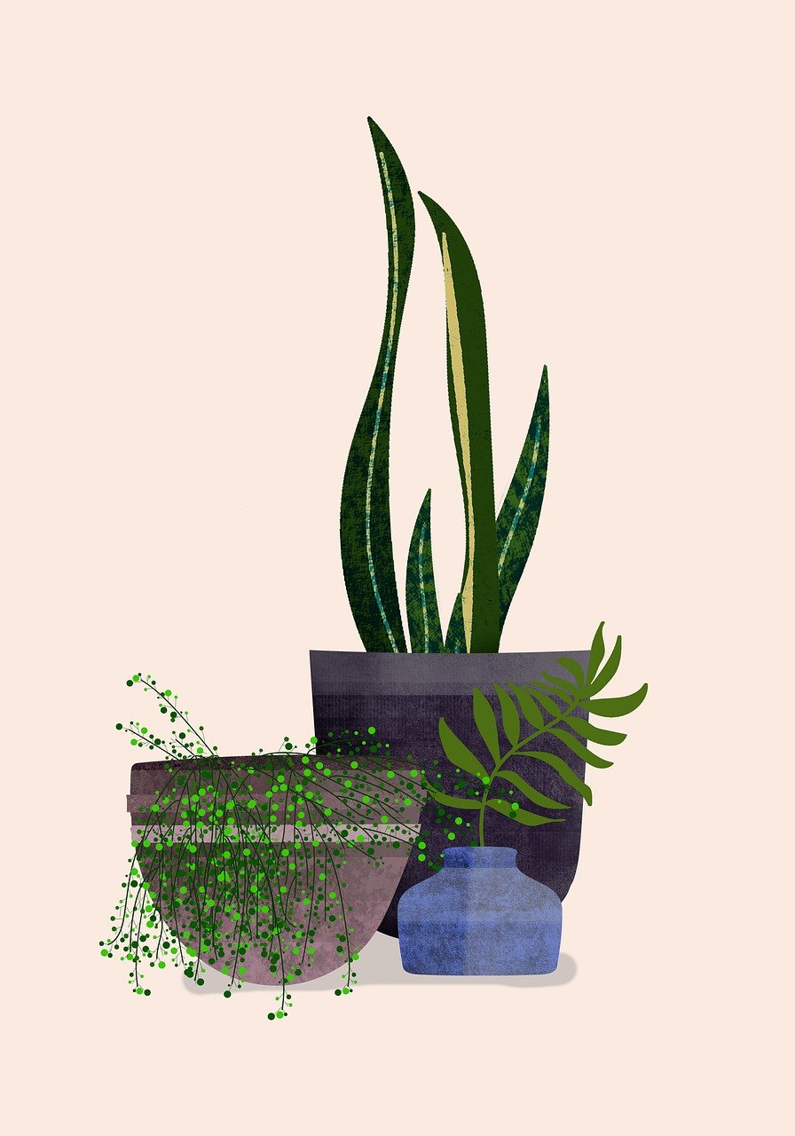 découvrez notre sélection de pots de pépinière de haute qualité, idéaux pour la culture et le transport de vos plantes. que vous soyez jardinier amateur ou professionnel, nos pots garantissent un enracinement optimal et une croissance saine.