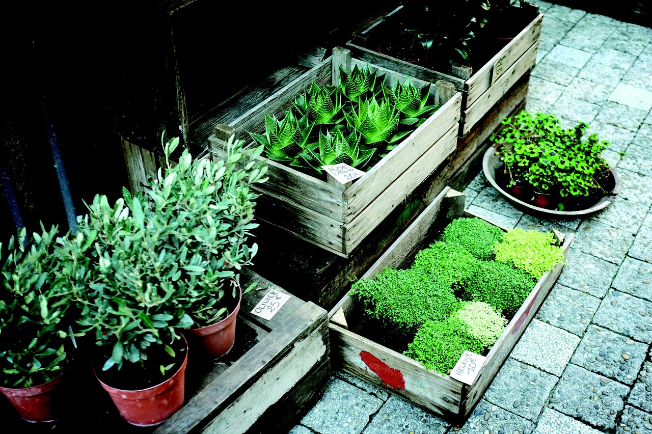 découvrez notre vaste choix de pots de pépinière, idéaux pour cultiver vos plantes avec succès. offrant une excellente aération et drainage, ces pots sont parfaits pour les semis et le rempotage. explorez notre collection et assurez une croissance saine à vos végétaux.