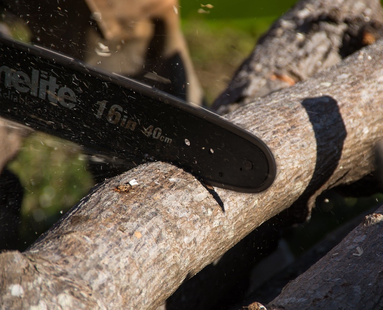 découvrez les techniques de taille pour entretenir efficacement vos plantes et arbres. apprenez comment le pruning améliore la santé et la productivité de votre jardin tout en créant des formes esthétiques.