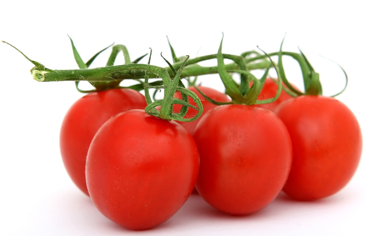 découvrez les bienfaits des tomates : nutriments, recettes savoureuses et astuces de culture. apprenez à choisir et à conserver les tomates pour en apprécier toutes les saveurs.