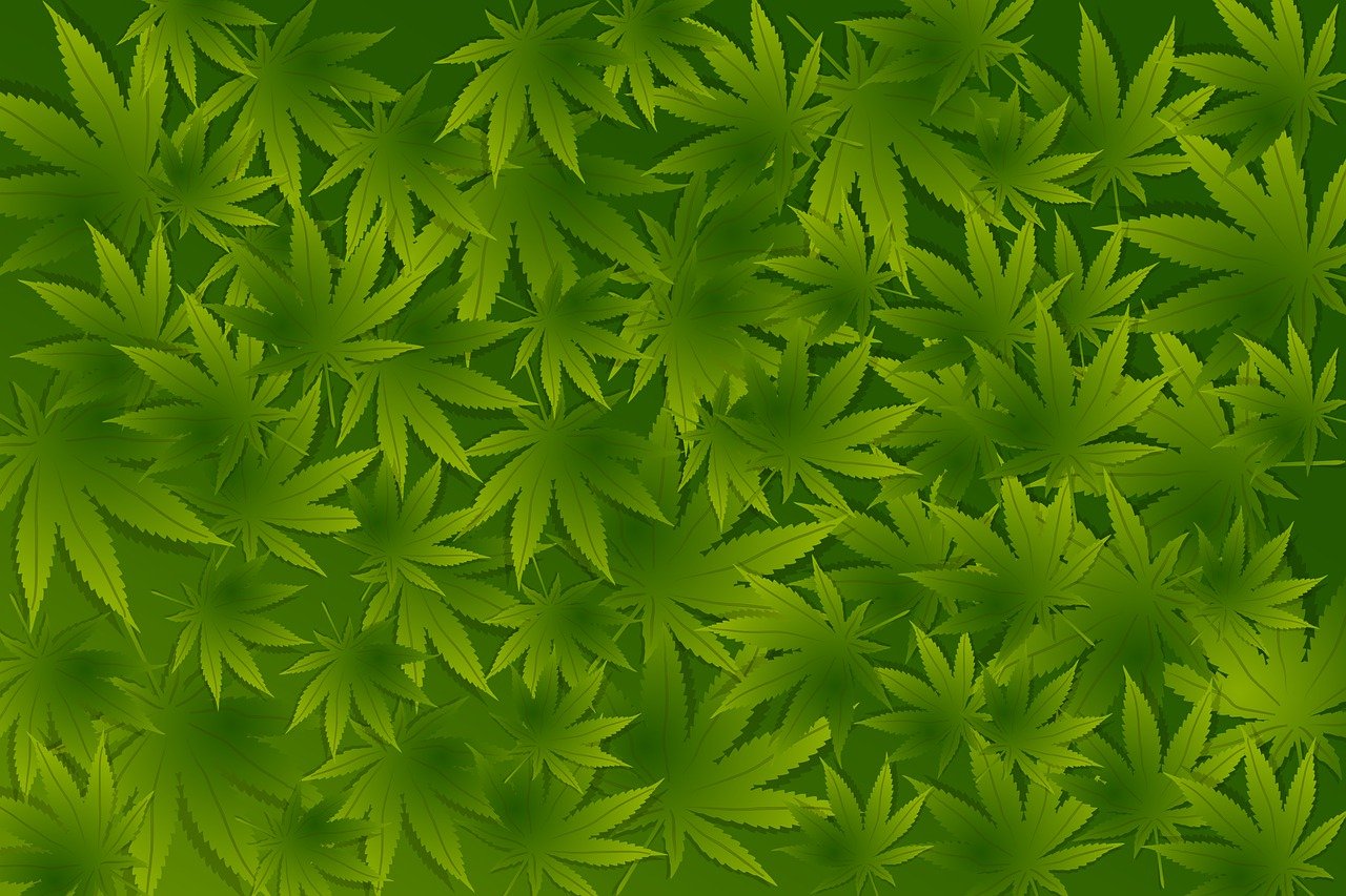 découvrez l'univers fascinant des mauvaises herbes : leurs impacts sur l'écosystème, des conseils pour les identifier et des solutions naturelles pour les gérer efficacement.