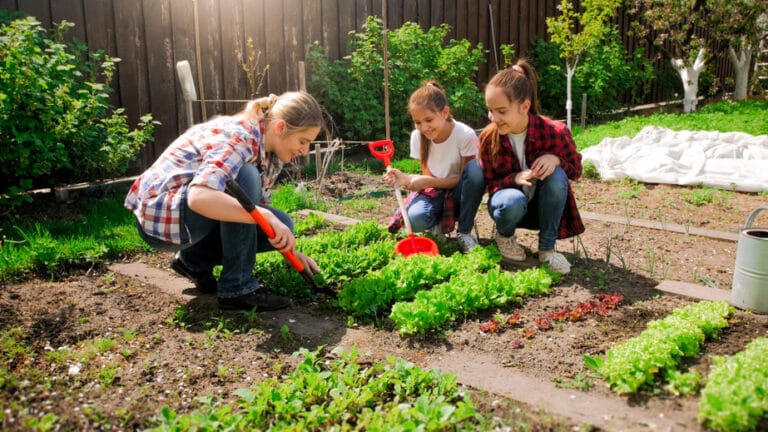 Avoir son propre jardin potager c'est chill et cool à la fois
