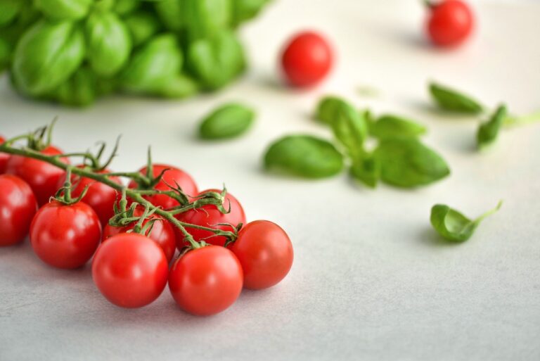 découvrez les meilleures pratiques de culture de la tomate pour obtenir des rendements élevés et des fruits de qualité. conseils, techniques et informations pour une cultivation réussie.