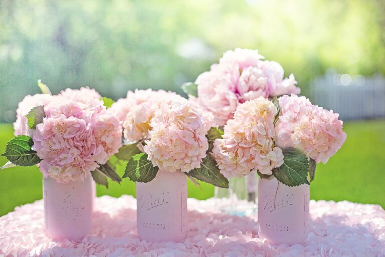 découvrez une magnifique sélection d'hortensias colorés et éclatants pour égayer votre jardin ou votre intérieur. trouvez des variétés variées et des conseils de jardinage pour une floraison éblouissante.