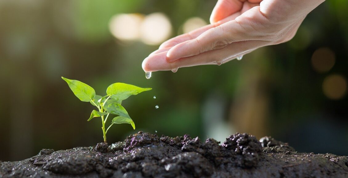 découvrez tous nos conseils et astuces pour un jardinage réussi - retrouvez des idées, des guides et des outils pour cultiver votre jardin avec succès.