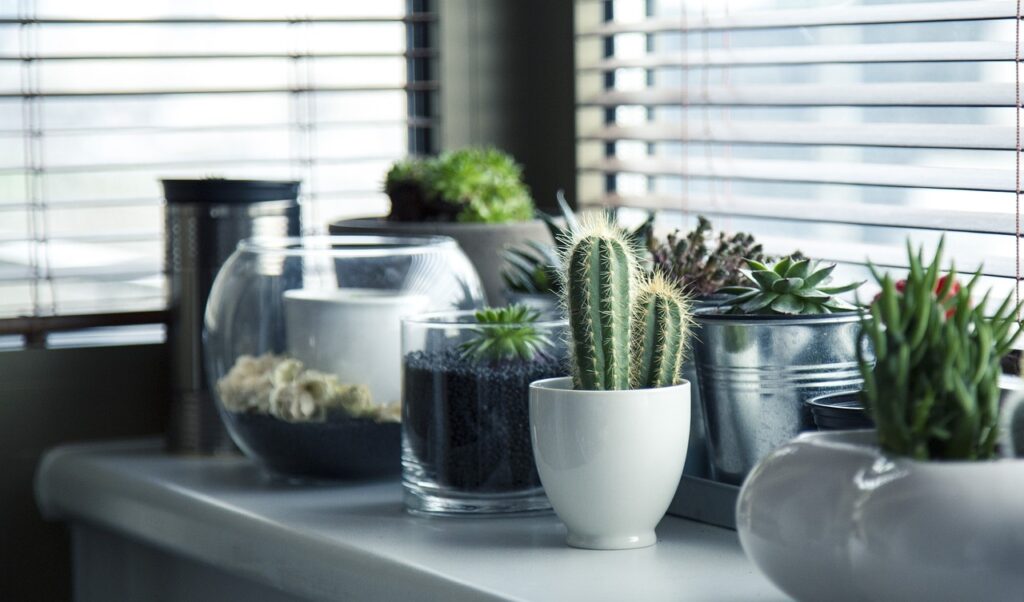 trouvez le meilleur tarif pour l'entretien de votre jardin avec best rate gardener home. faites confiance à nos professionnels pour prendre soin de votre espace extérieur au meilleur prix.