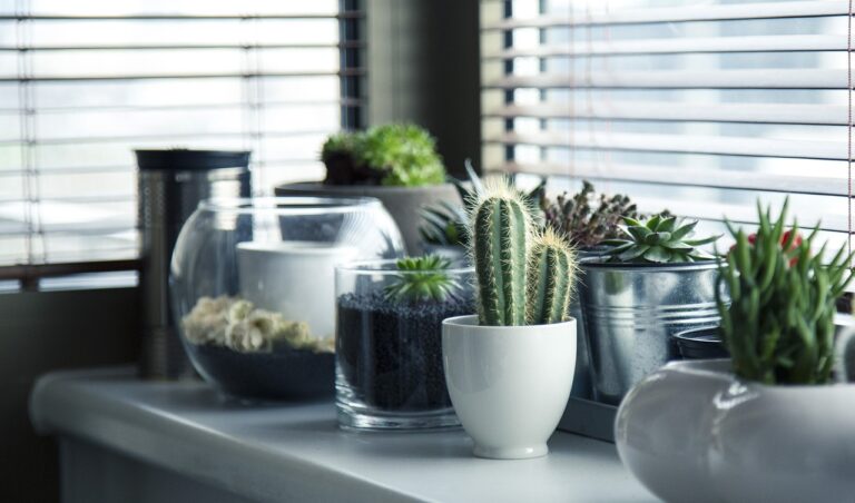 trouvez le meilleur tarif pour l'entretien de votre jardin avec best rate gardener home. faites confiance à nos professionnels pour prendre soin de votre espace extérieur au meilleur prix.
