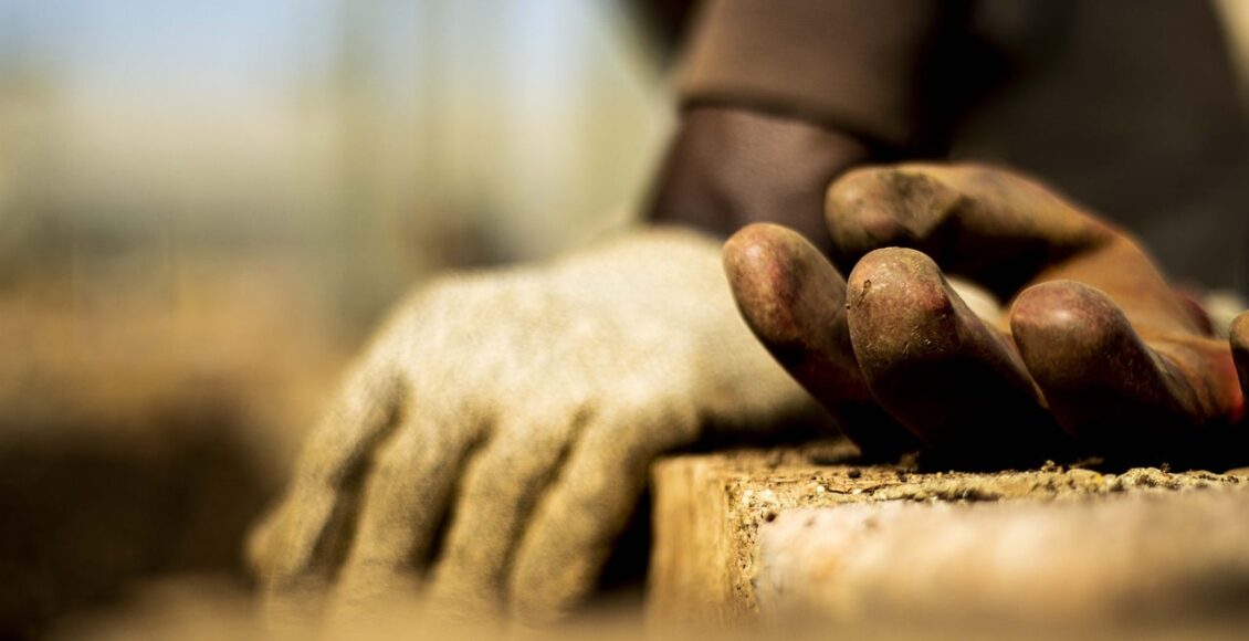 découvrez tous nos conseils et astuces pour le jardinage, que vous soyez débutant ou passionné. trouvez des idées pour aménager votre jardin, choisir vos plantes, entretenir vos espaces verts et bien plus encore.