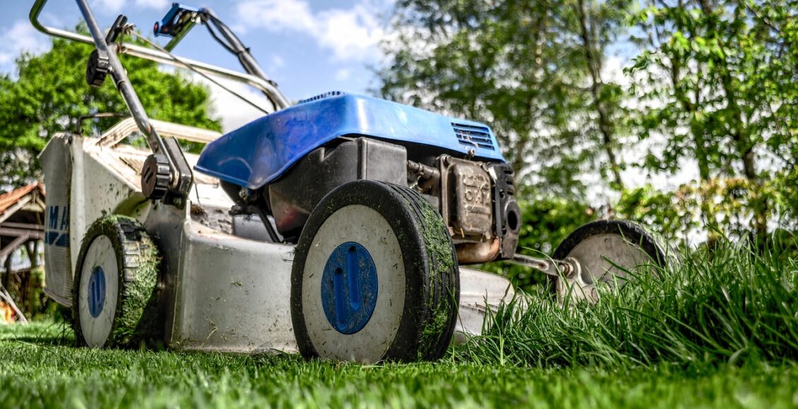 découvrez les secrets du jardinage vertical pour maximiser l'espace et apporter une touche de verdure à votre lieu de vie. conseils, idées et astuces pour un jardinage vertical réussi.