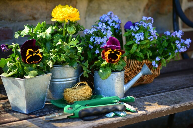 découvrez notre sélection de services de jardinage pour entretenir votre espace extérieur avec des jardiniers expérimentés et passionnés.