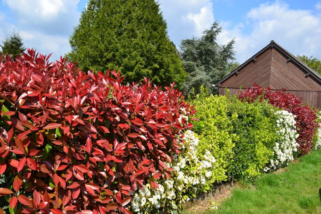 service de taille de haies professionnel pour l'entretien de votre jardin. obtenez des haies bien entretenues avec notre service de maintenance de haies.